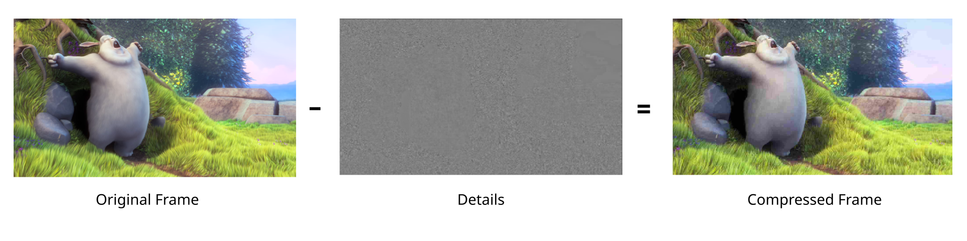 DCT algorithm removing details