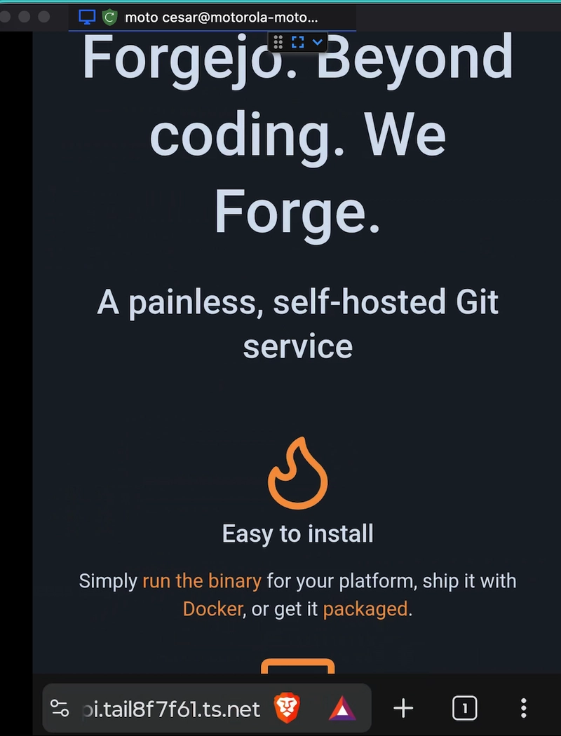 RustDesk client sees target device