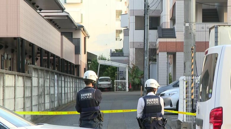 【速報】仙台市中心部のマンション敷地でクマを駆除　14時間にわたり茂みにとどまる　麻酔銃を活用｜FNNプライムオンライン