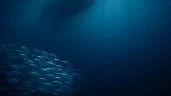 Un cardumen de peces se difumina en la penumbra del océano bajo la sombra tenue de una red de pesca.