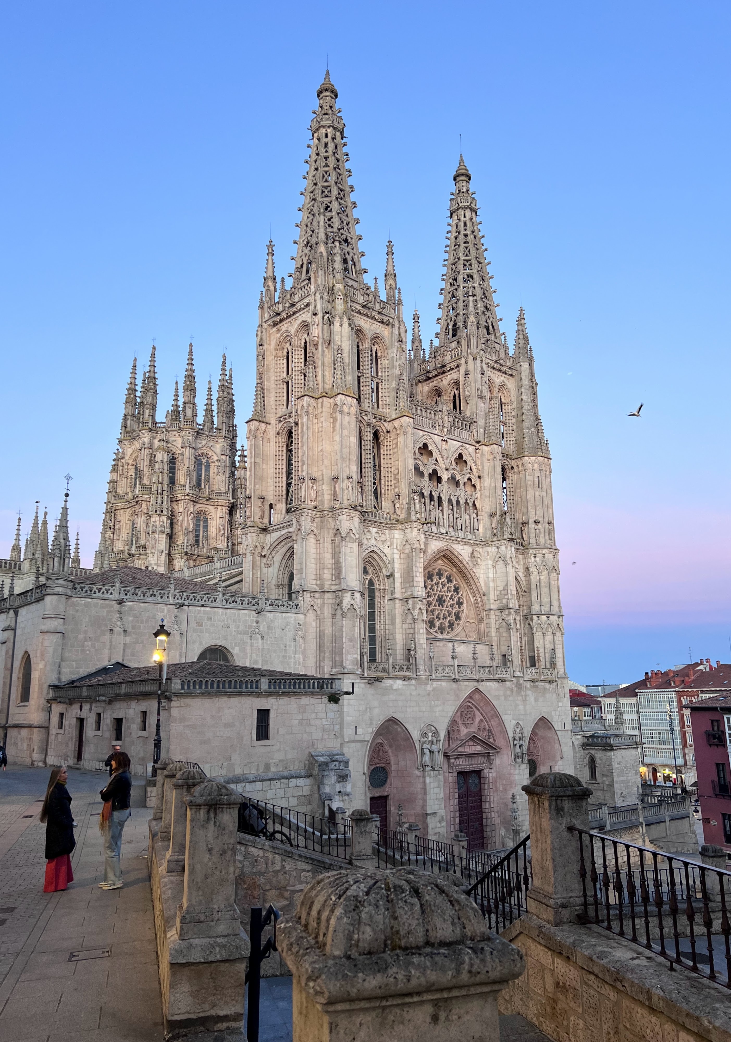 La catedral desde la calle Fern�n Gonz�lez, que coincide con el trazado del Camino de Santiago.