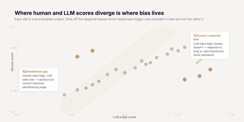 human vs llm bias