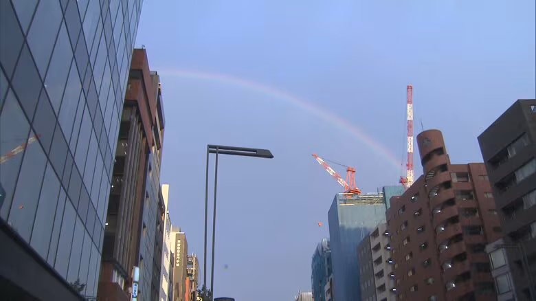 東京都心に巨大な虹が現れる「幸運おすそわけ」SNSに大量の虹画像が|FNNプライムオンライン