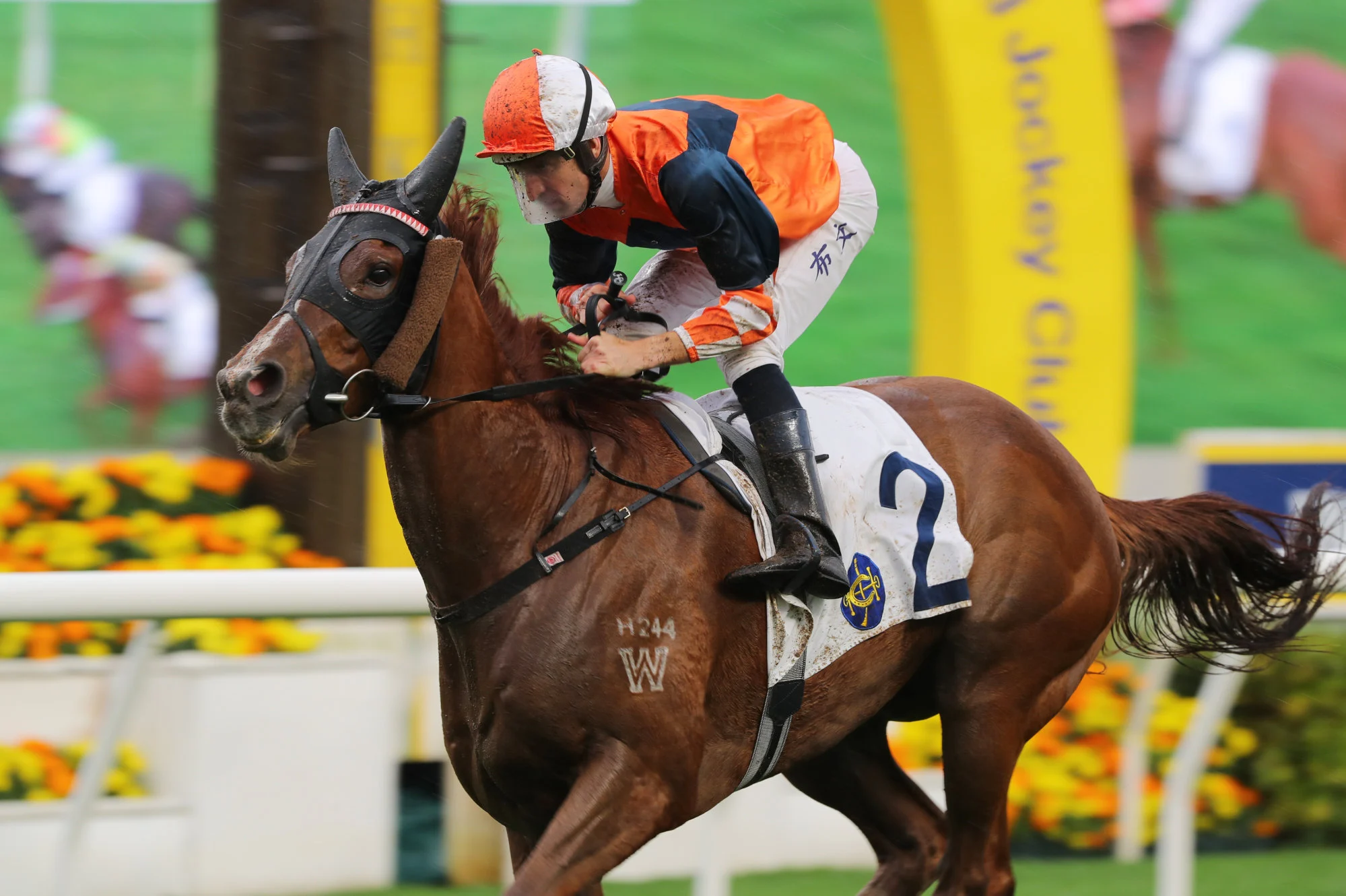 Sunlight Power, ridden by Hugh Bowman, scores at Sha Tin.