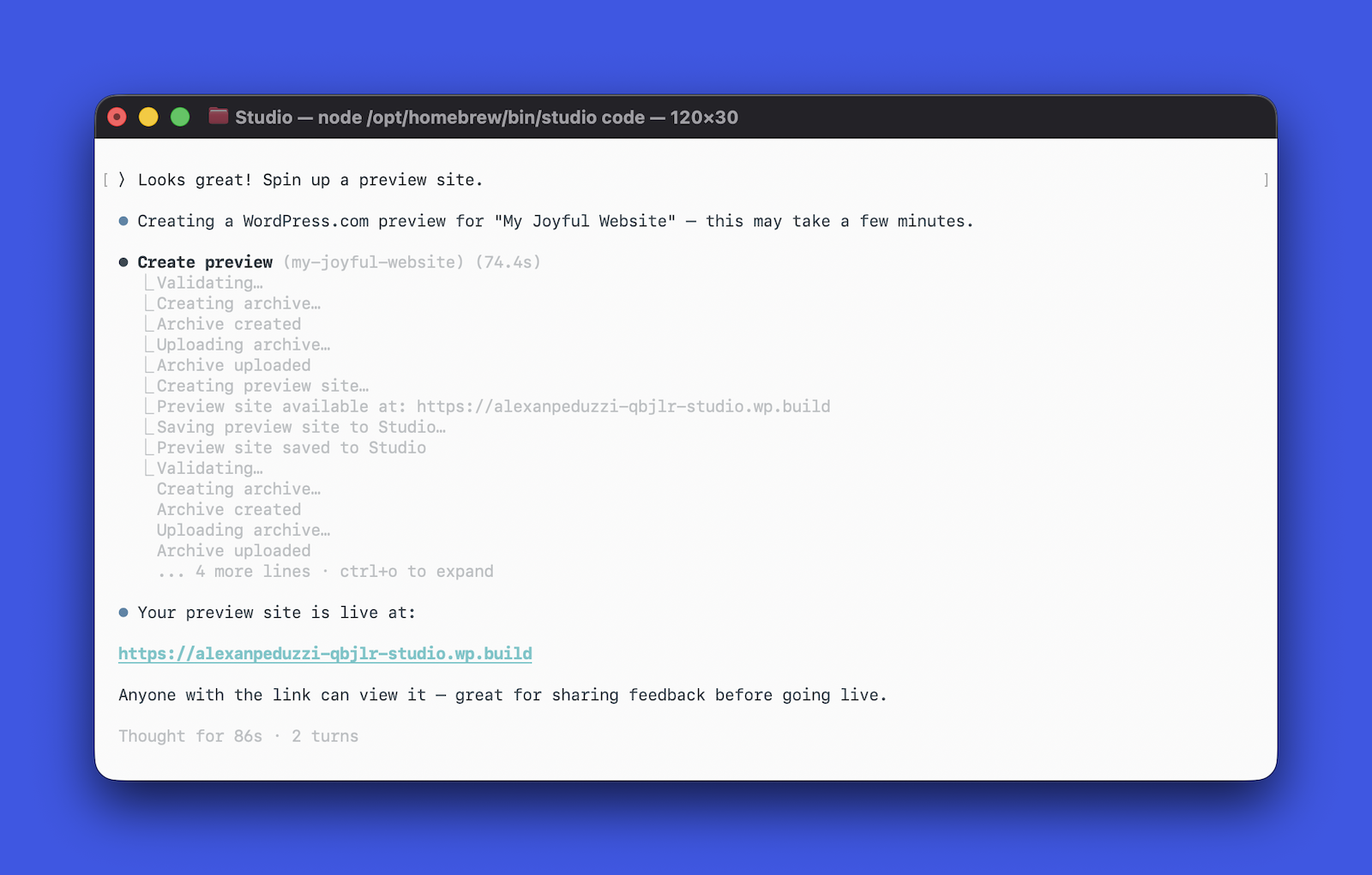 a terminal window asking Studio Code to create a preview site for a client