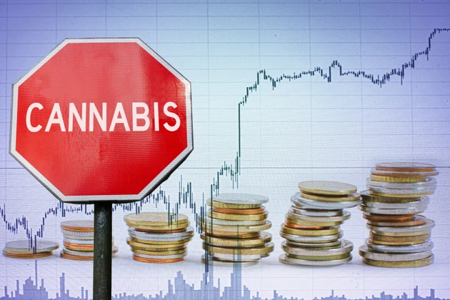 Investment to cannabis. Stop sign on graph and coins background.
