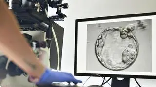 A fertility procedure is displayed on a screen as a woman in scrubs monitors the process in a laboratory.