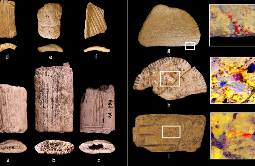 A series of Native American dice discovered at archaeological sites in the western US, April 9, 2026.
