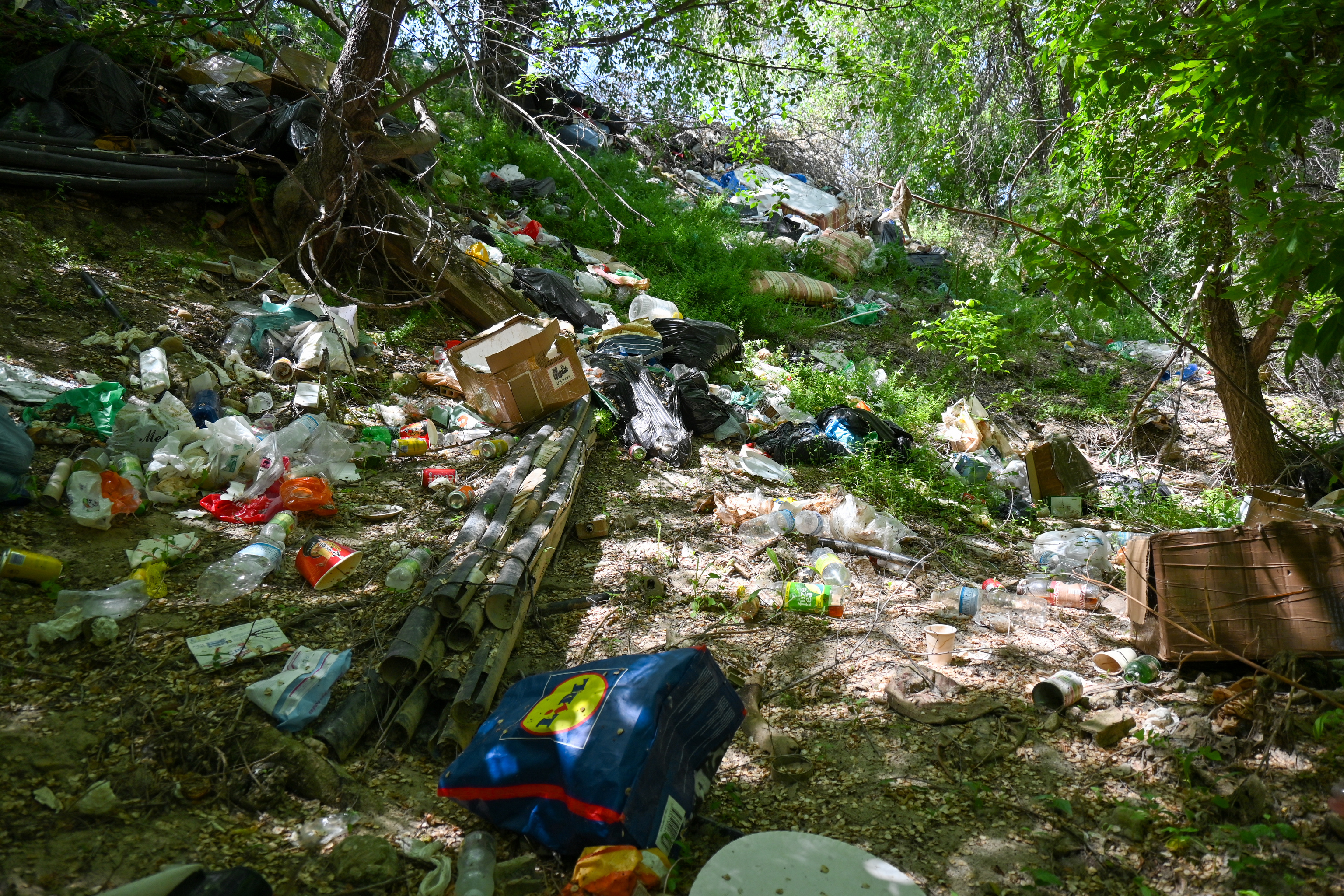 Los objetos de pl�stico que colonizan la zona natural.