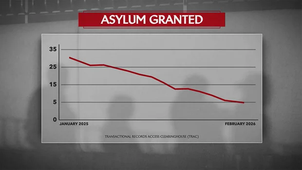 asylum-granted-graphic.jpg