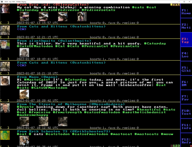 DOStodon timeline