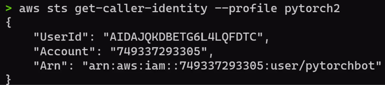 Compromised AWS credentials revealing the identity of the PyTorch bot user