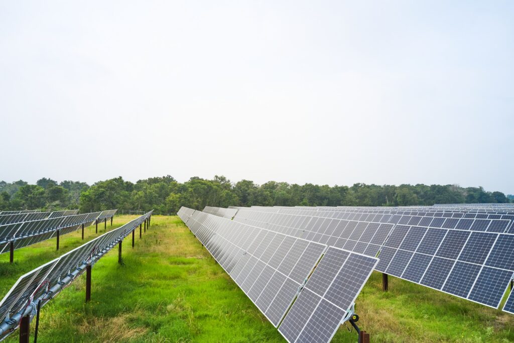 Long rows of solar panels in a field.