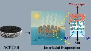 JANUS-FACED FLOATING FILM: Schematic representation of the steps involved in the fabrication of an NCF@PH solar–thermal interfacial evaporator JANUS-FACED FLOATING FILM: Schematic representation of the steps involved in the fabrication of an NCF@PH solar–thermal interfacial evaporator