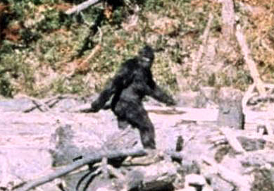 A forest clearing with fallen trees and mud, featuring a mysterious, dark humanoid figure resembling Bigfoot walking to the l