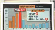 【解説】なぜ？山火事は4月が最多　春は乾燥した落ち葉多く山菜採りなど行楽も多い時期　道や水源なく消火は困難
