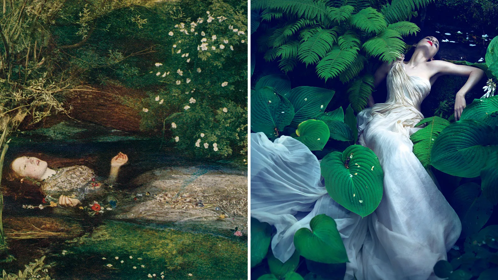 Image may contain Land Nature Outdoors Plant Rainforest Tree Vegetation Leaf Green Flower Petal Herbal and Herbs