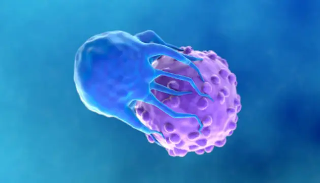 CAR-T Cell Therapy Targeting Cancer Cells