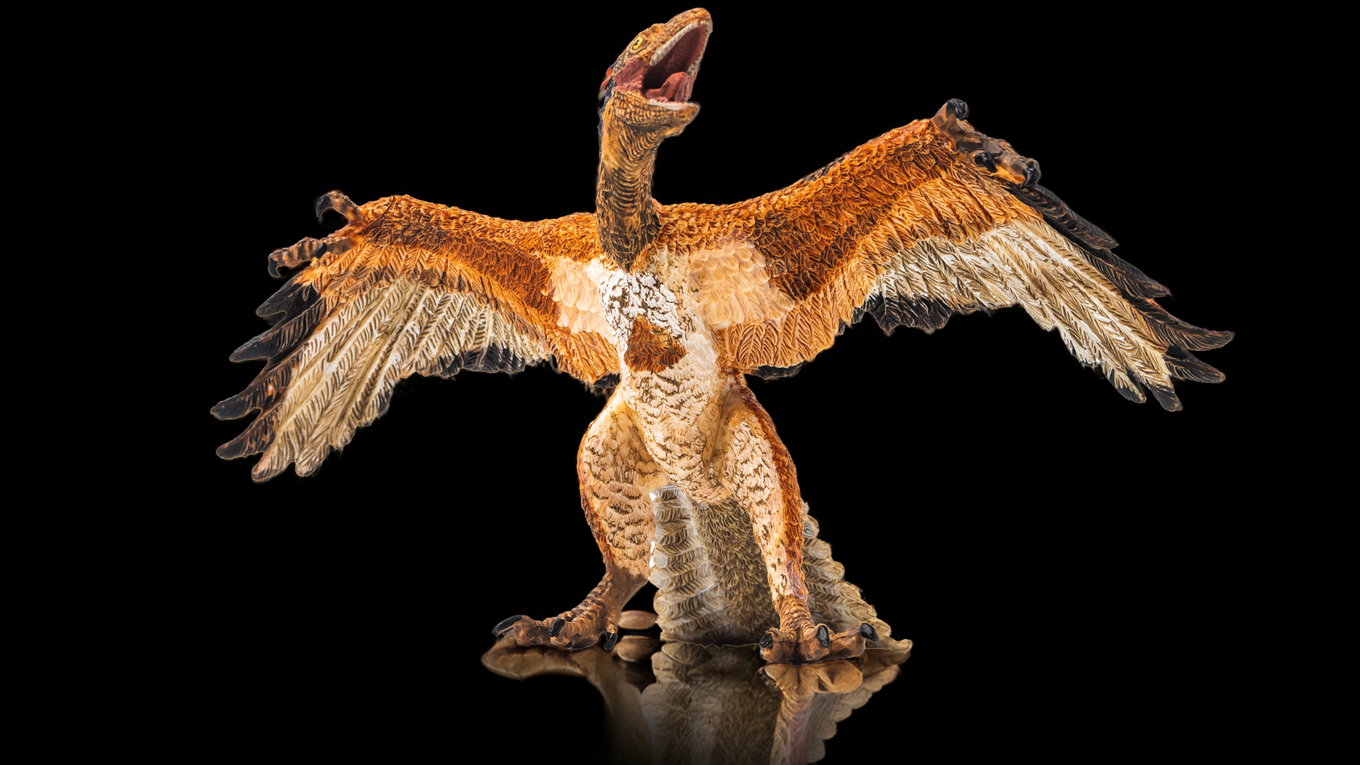 a bird dinosaur on a black background