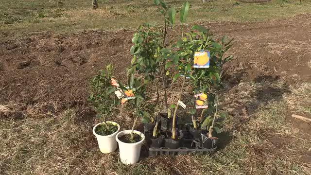 大プロジェクトが始まる