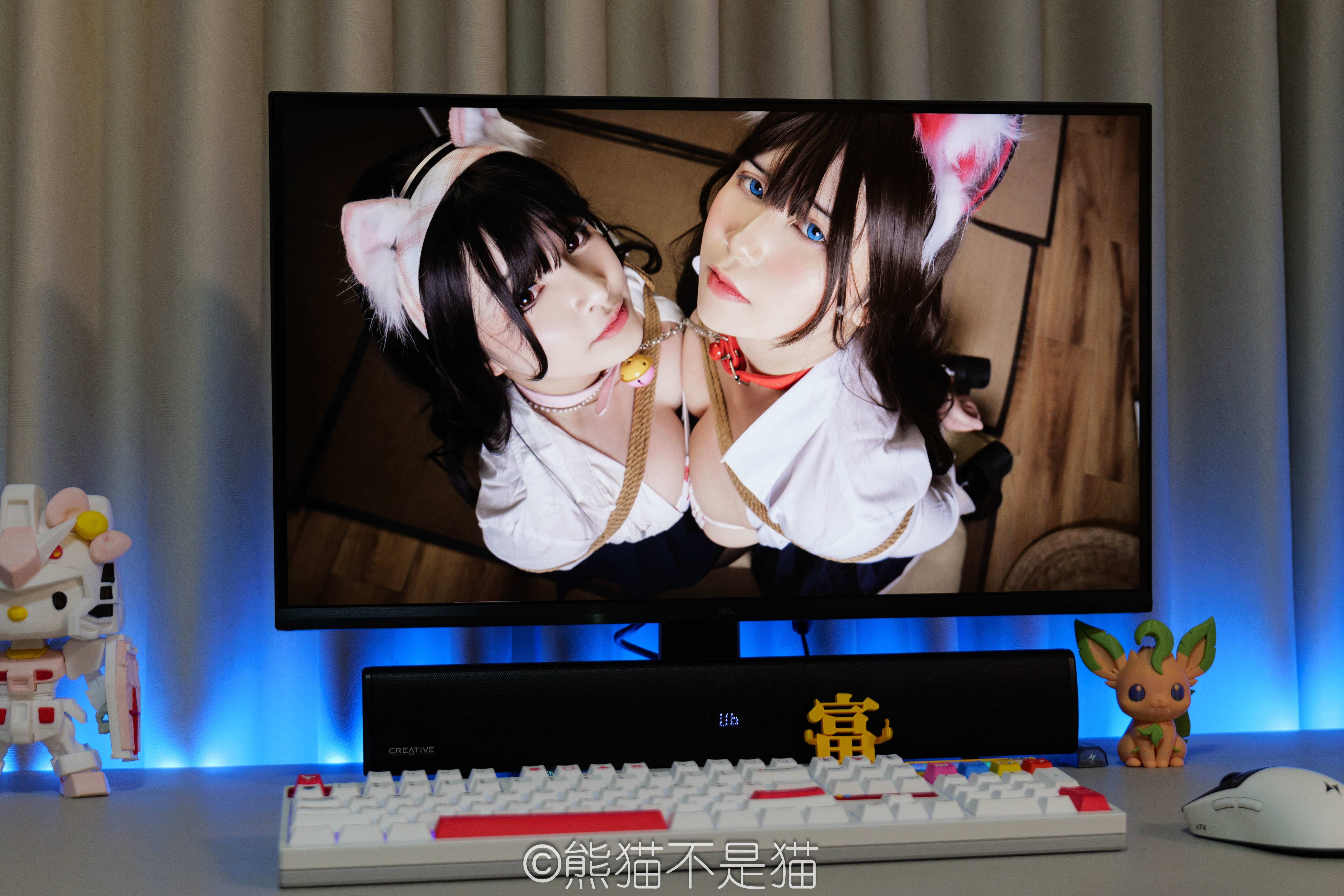 画面显示