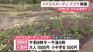 閉園した植物園をリニューアル…名古屋港に庭園施設『メグラスガーデンナゴヤ』オープン 今の時期はアネモネ等の春の花