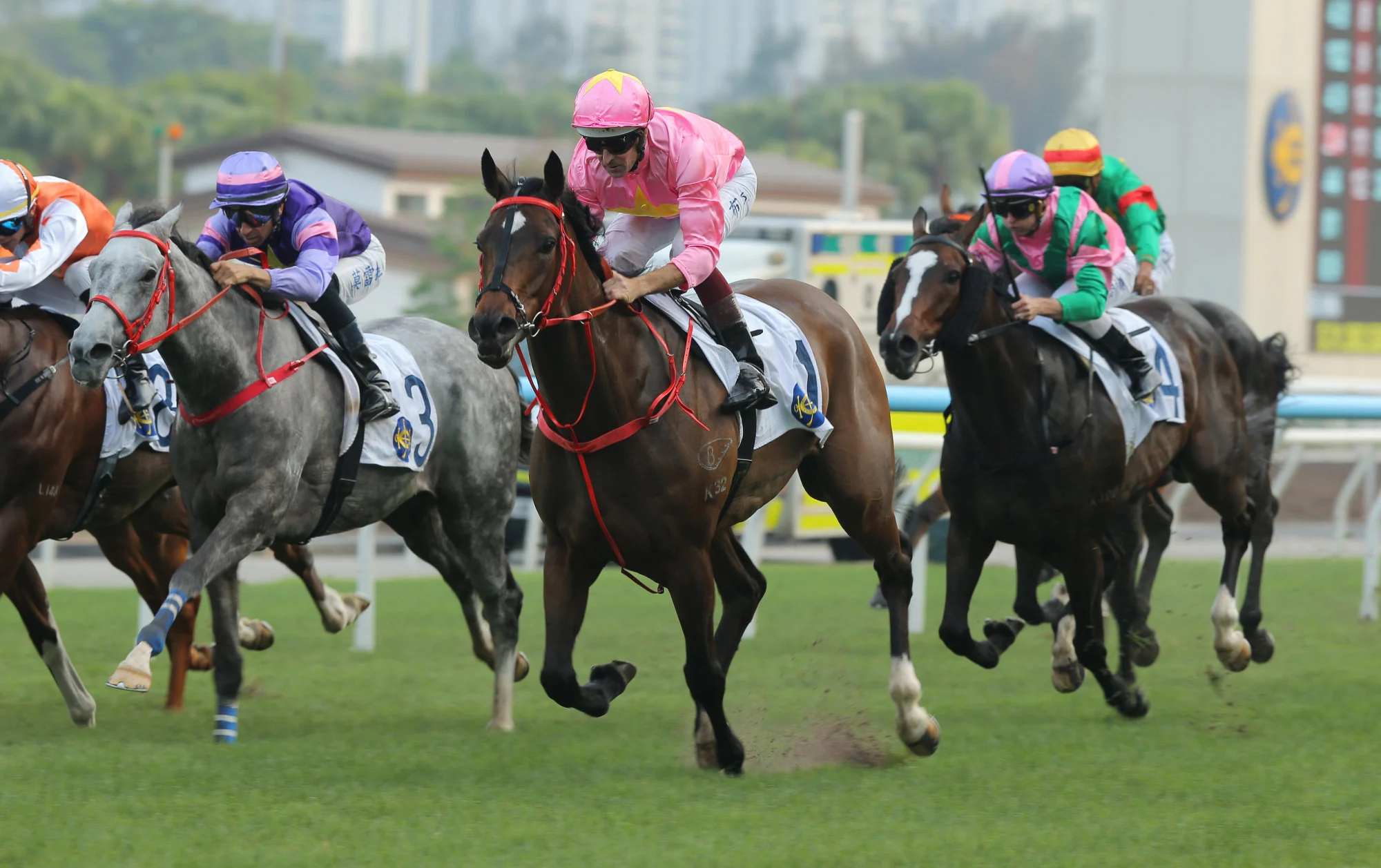 Sky Jewellery quickens up at Sha Tin. Sky Jewellery quickens up at Sha Tin.