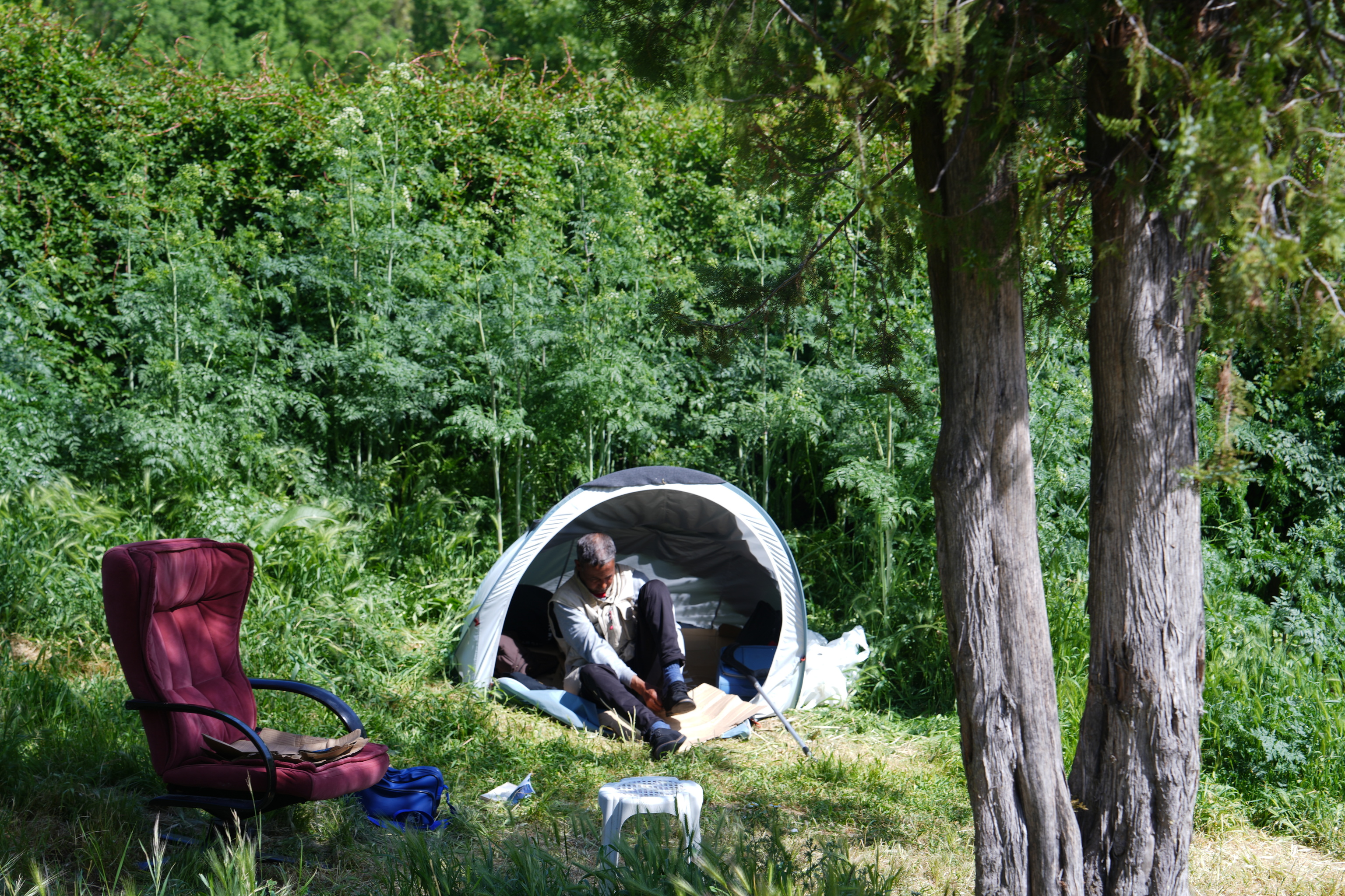 Uno de los 'vecinos' del campamento de Casa de Campo.