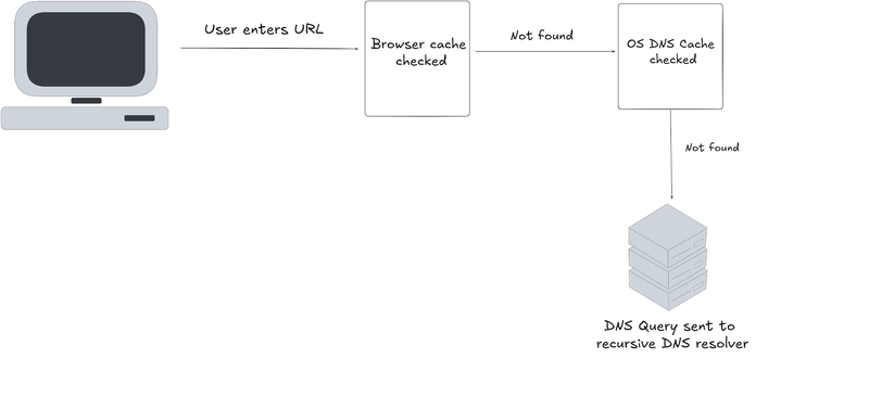 DNS Query