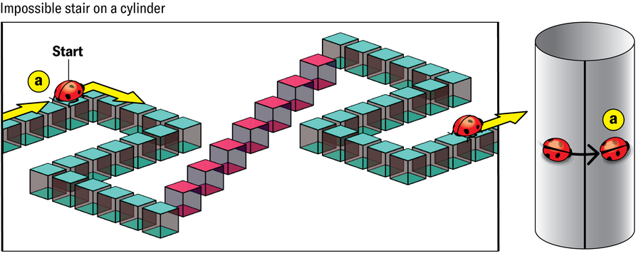 Within a rectangular plane, a blue path is created by a series of blue cubes, placed as if they were stepping stones, and settled into apparent three-dimensional space. A staircase of pink cubes connects two blue segments, creating an illusion of a height change. Next to that schematic, a cylinder is shown with a ladybug making a full circuit and ending up where it started.