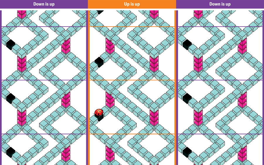 The rectangle of paths shown in the previous three images is now tiled into a grid of three by three. The central column is stacked. The paths continue seamlessly from tile to tile. The left and right columns mirror the central column. The central column is labelled "up is up." The left and right columns are labelled "down is up."