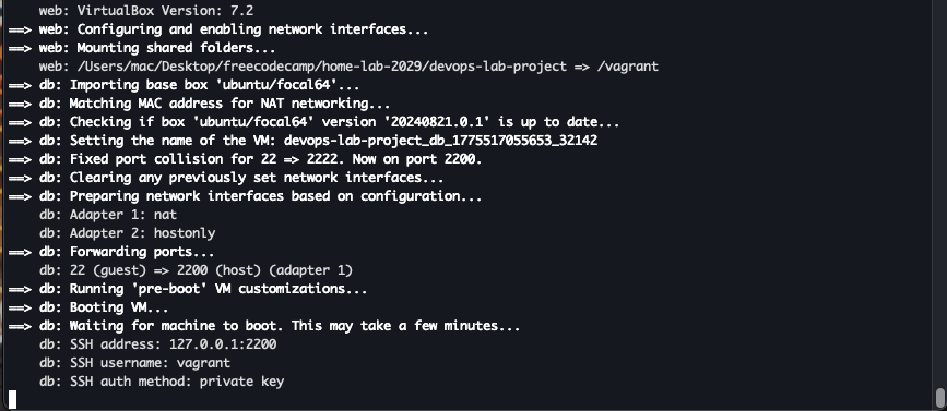 screenshot showing virtualbox installation processes in terminal