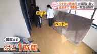ワケあり依頼続出！出張買い取り【しらべてみたら】
