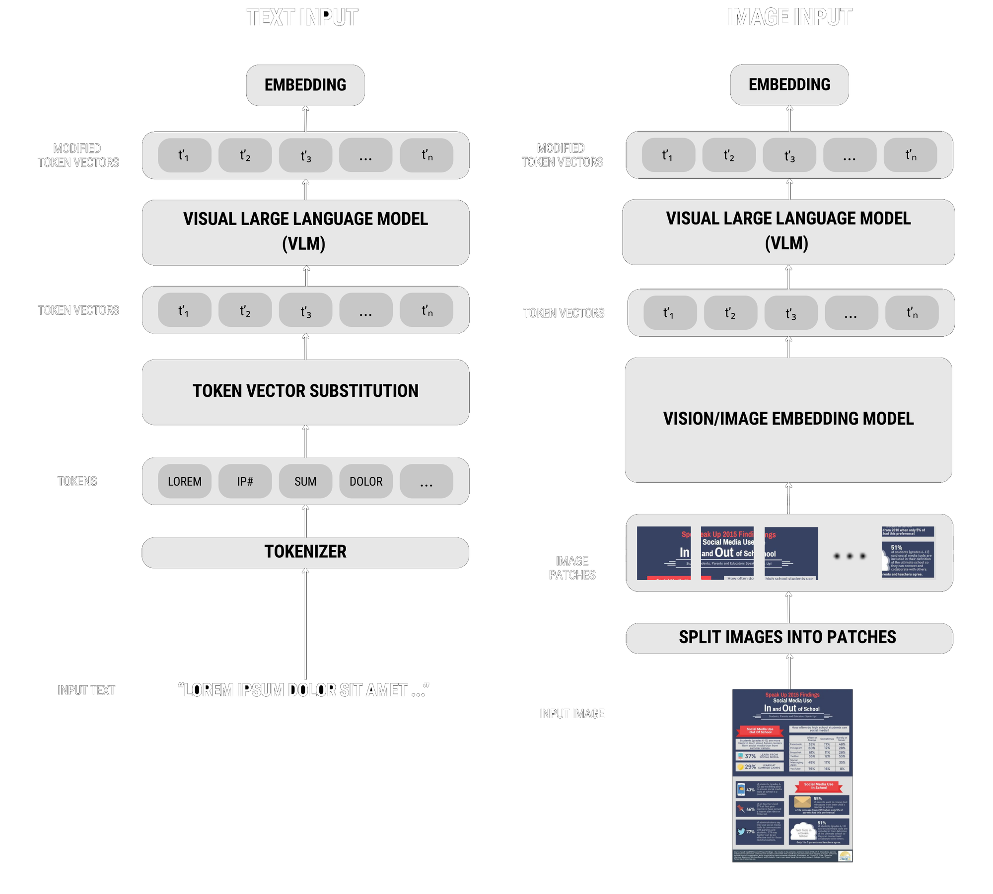 Flowchart contrasts text input processing steps (tokenization, lemmatization, and more) with direct image input embedding, cu