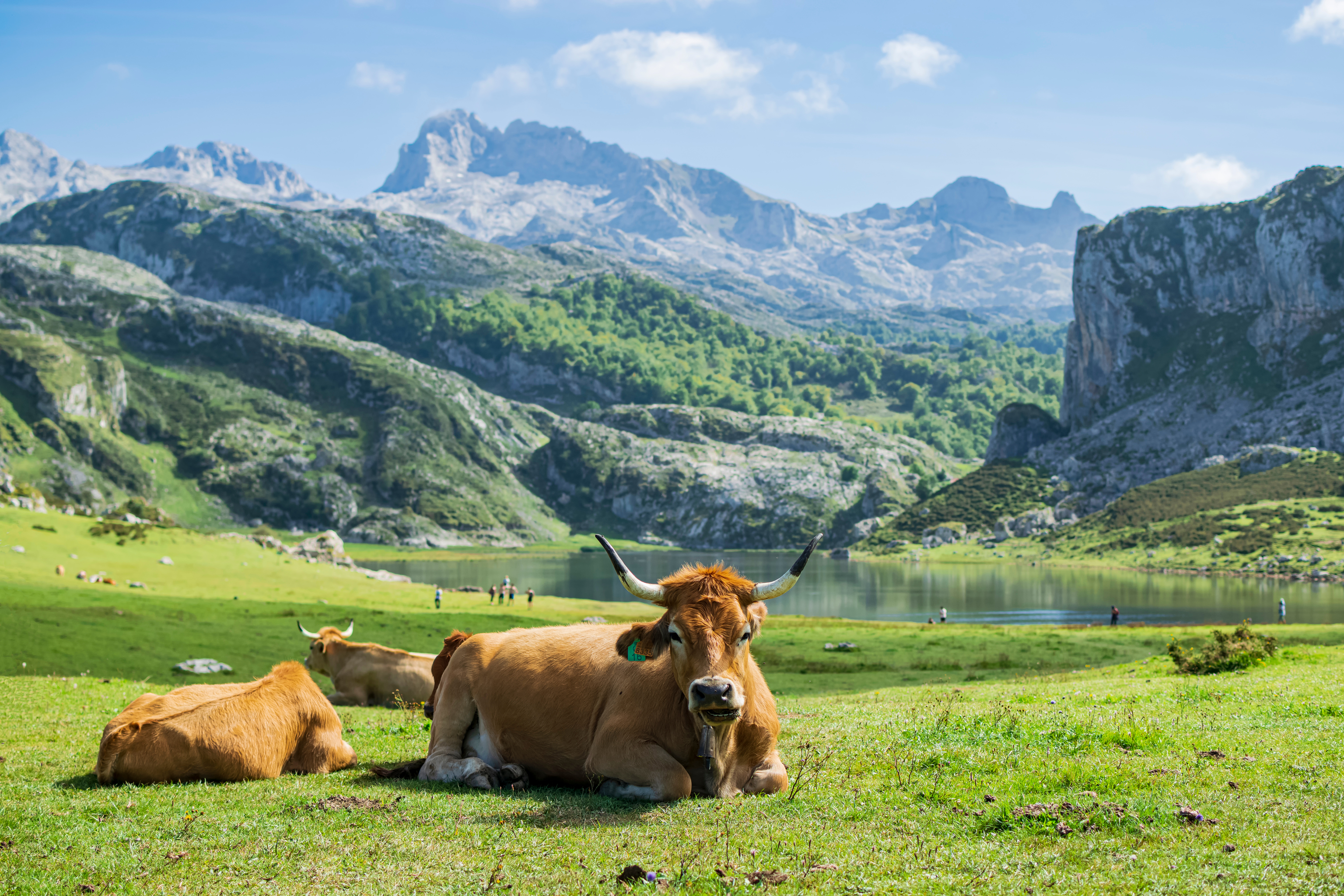 El lago Ercina, en los Picos de  Europa.