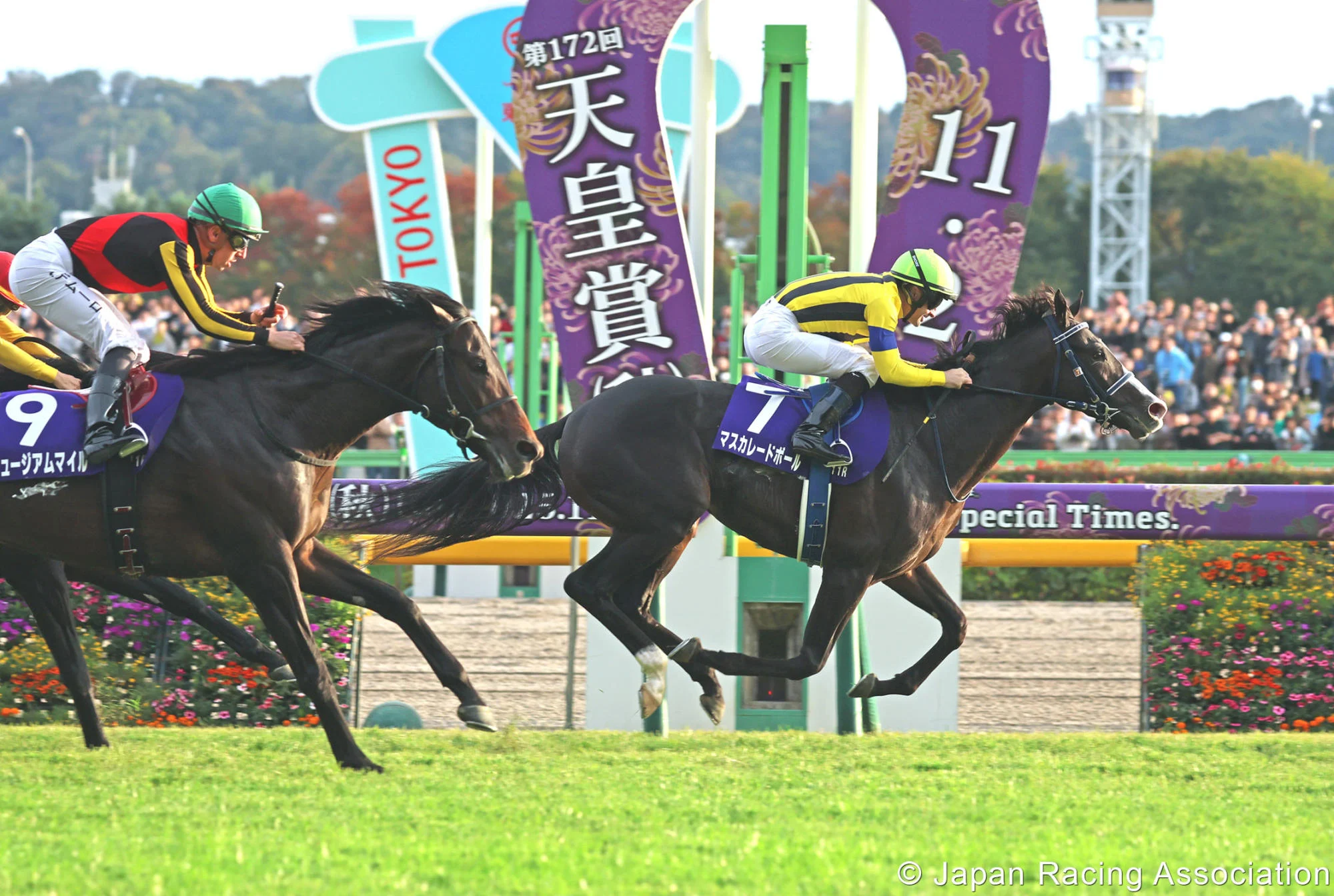 Masquerade Ball wins the Group One Tenno Sho. Masquerade Ball wins the Group One Tenno Sho.