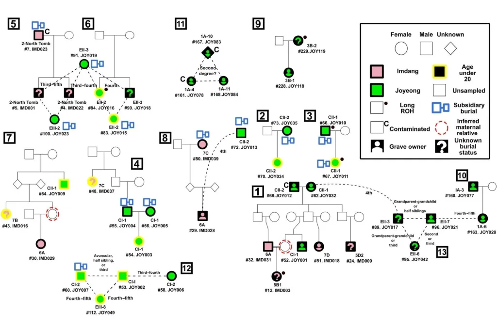 Relaciones de parentesco reconstruidas entre los individuos antiguos de Imdang y Joyeong