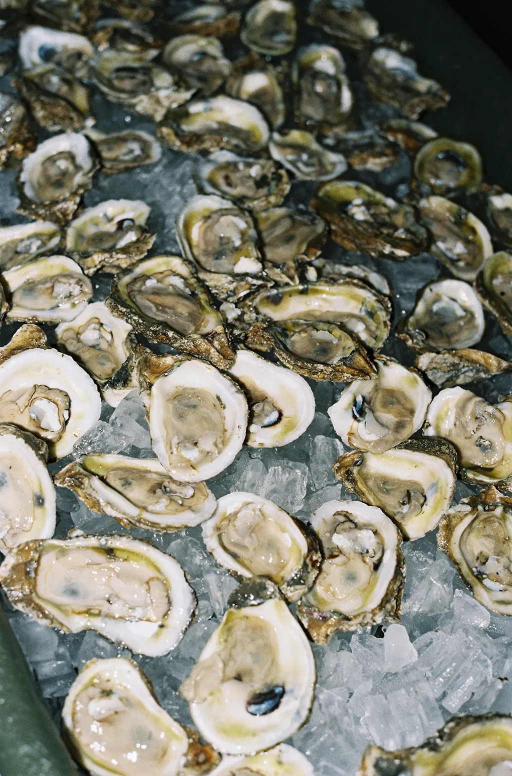 Image may contain Food Seafood Animal Sea Life Invertebrate Oyster and Egg