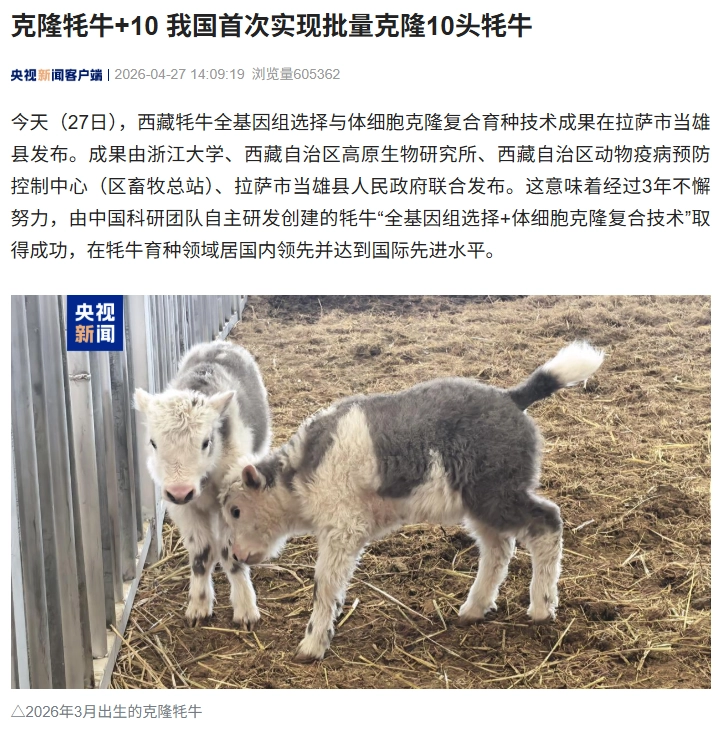 我国首次实现批量克隆 10 头牦牛,达到国际先进水平