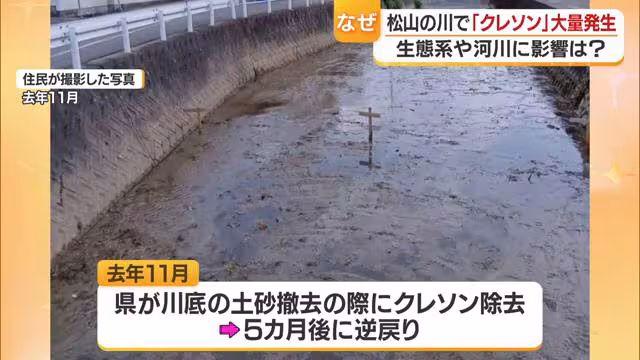5カ月前にクレソンも一緒に除去したが…