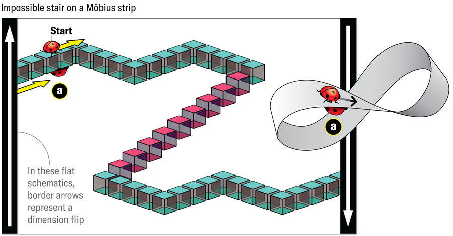 The schematic setup is very similar to the preceding image. Next to that schematic, a mobius strip is shown with a ladybug making a full circuit and ending upside down, underneath is its original position.