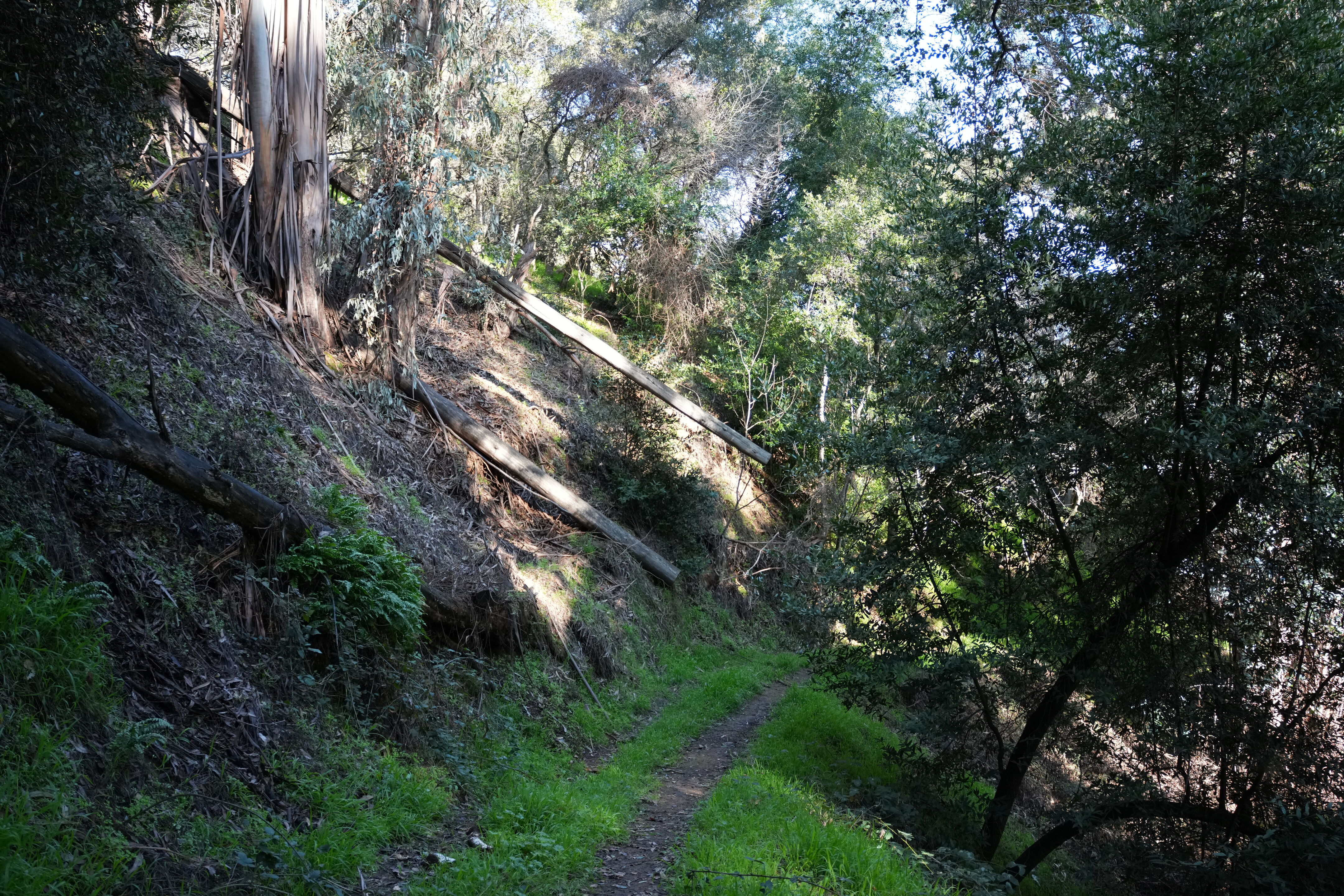 Don Castro Regional Recreation Area