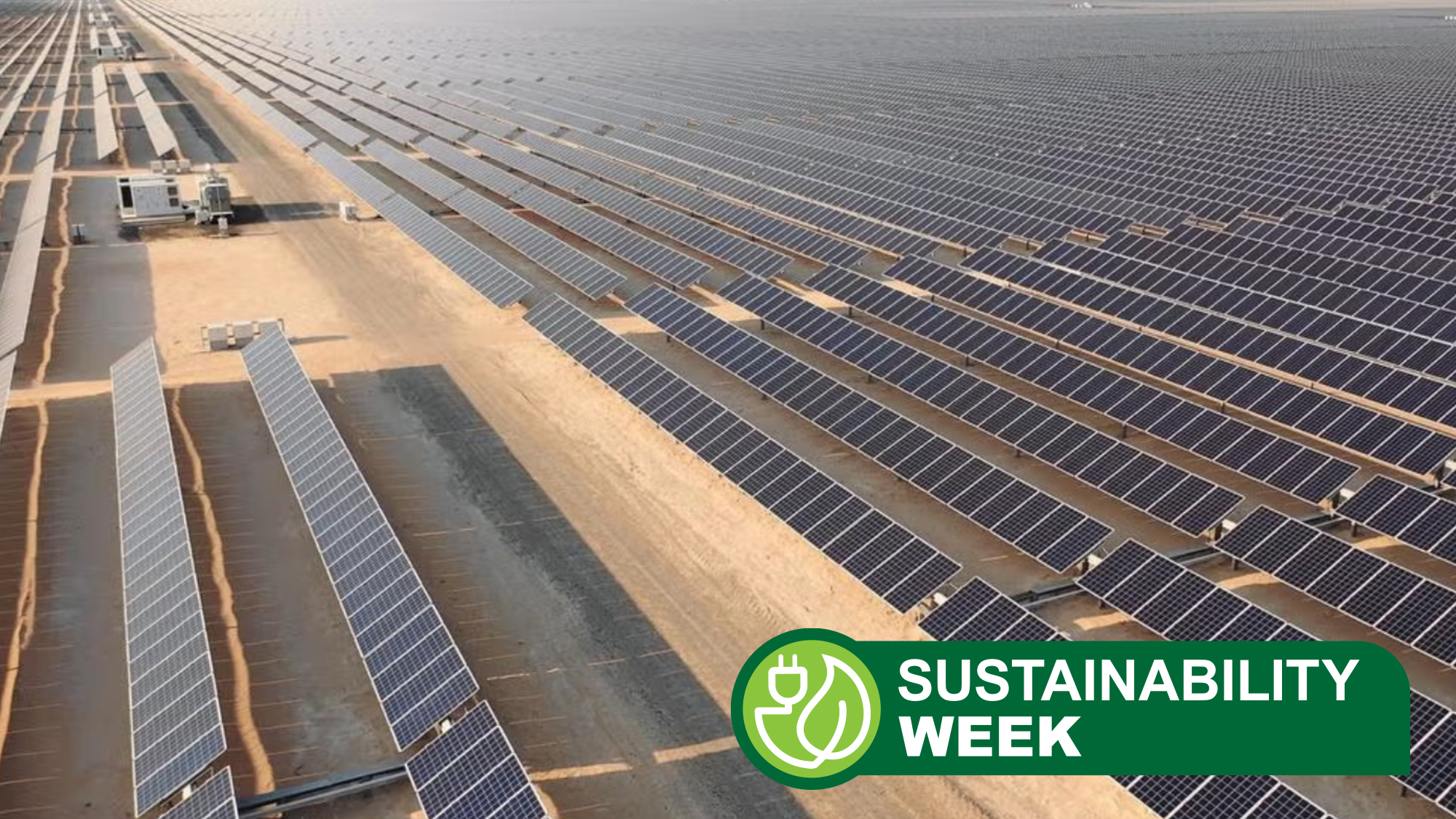 A huge field of solar panels