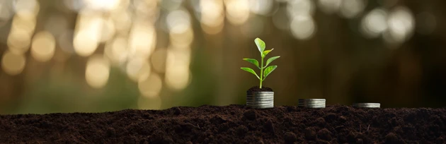 money and growing plants - success and investment concept