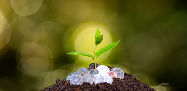 Saving and deposit for economic progress. Credit, loan, and financial planning idea. Cash currency and investment. Money tree with growing coins and green leaves. Investment and growth with coins.