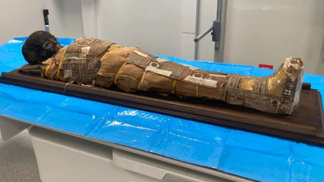 Examination of the mummy using the Canon Aquilion Prime ST Computed Tomography at the Stefan Cardinal Wyszy´ nski Provincial Specialist Hospital in Lublin, April 23, 2026. Examination of the mummy using the Canon Aquilion Prime ST Computed Tomography at the Stefan Cardinal Wyszy´ nski Provincial Specialist Hospital in Lublin, April 23, 2026.