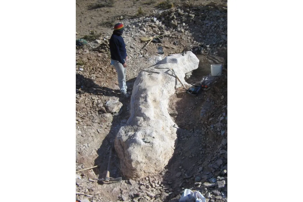 Extracción de los fósiles de Bicharracosaurus dionidei