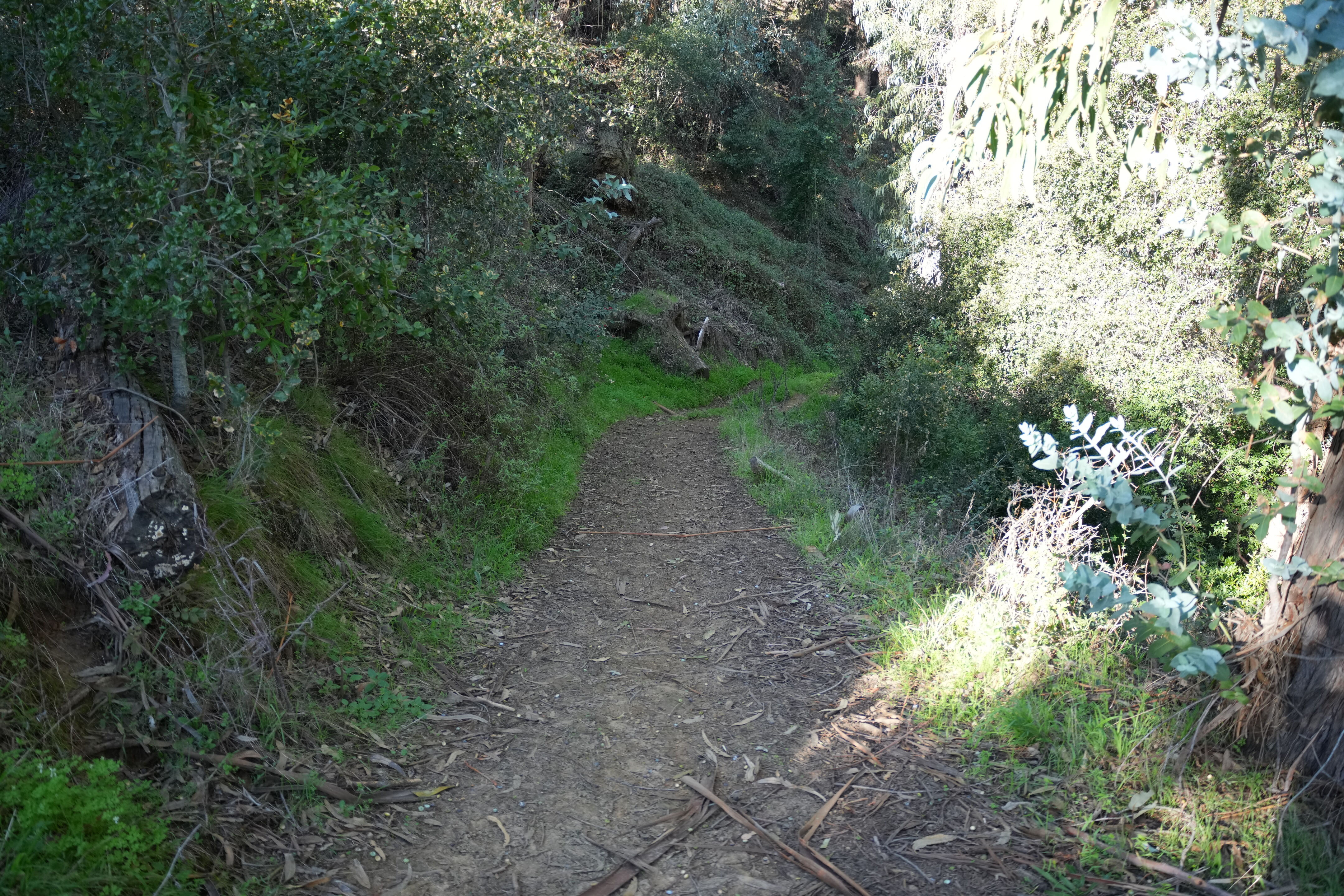 Don Castro Regional Recreation Area