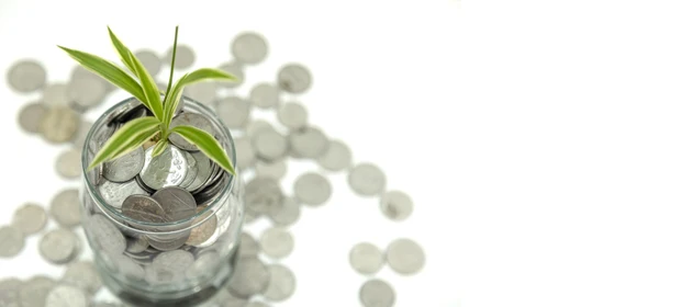 Plant growth through a stack of INR coins