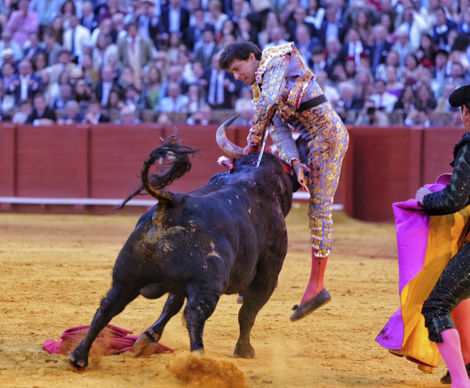 Roca Rey, a la espera de que los m�dicos retiren los drenajes de la cornada para recibir el alta hospitalaria en Sevilla